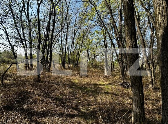 Teren de vânzare Exterior Vest - 158681TV | BLITZ Târgu Jiu | Poza4