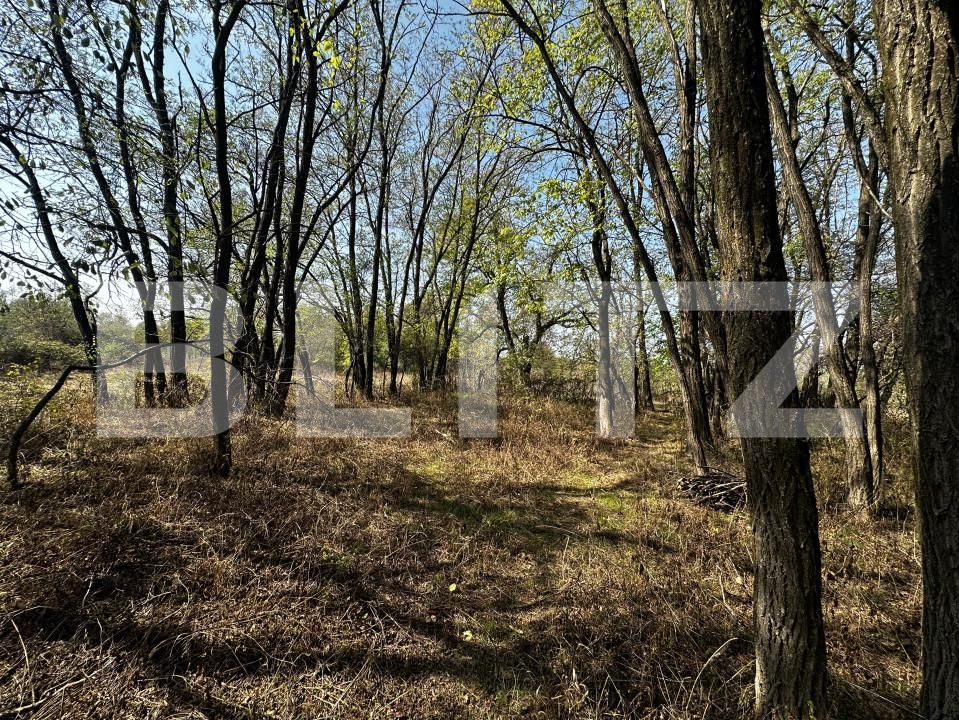 Teren de vânzare Exterior Vest - 158681TV | BLITZ Târgu Jiu | Poza4