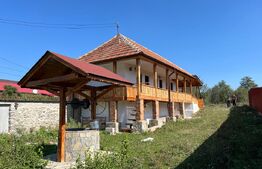 Casa plan parter, 109mp, 4000mp teren, zona Stanesti 