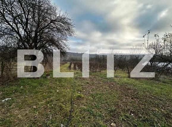 Teren de vânzare Exterior Est - 159058TV | BLITZ Târgu Jiu | Poza1