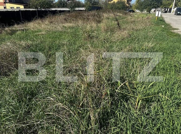 Teren de vânzare Primaverii - 159103TV | BLITZ Târgu Jiu | Poza3
