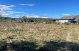 Teren Intravilan de vanzare, 900mp, Turcinesti 