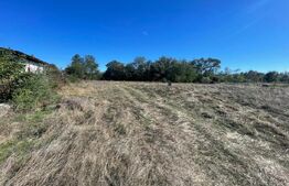 Teren Intravilan de vanzare, 900mp, Turcinesti 