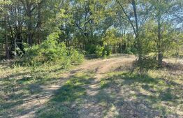 Teren Intravilan de vanzare, 900mp, Turcinesti 