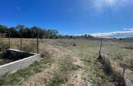 Teren Intravilan de vanzare, 900mp, Turcinesti 