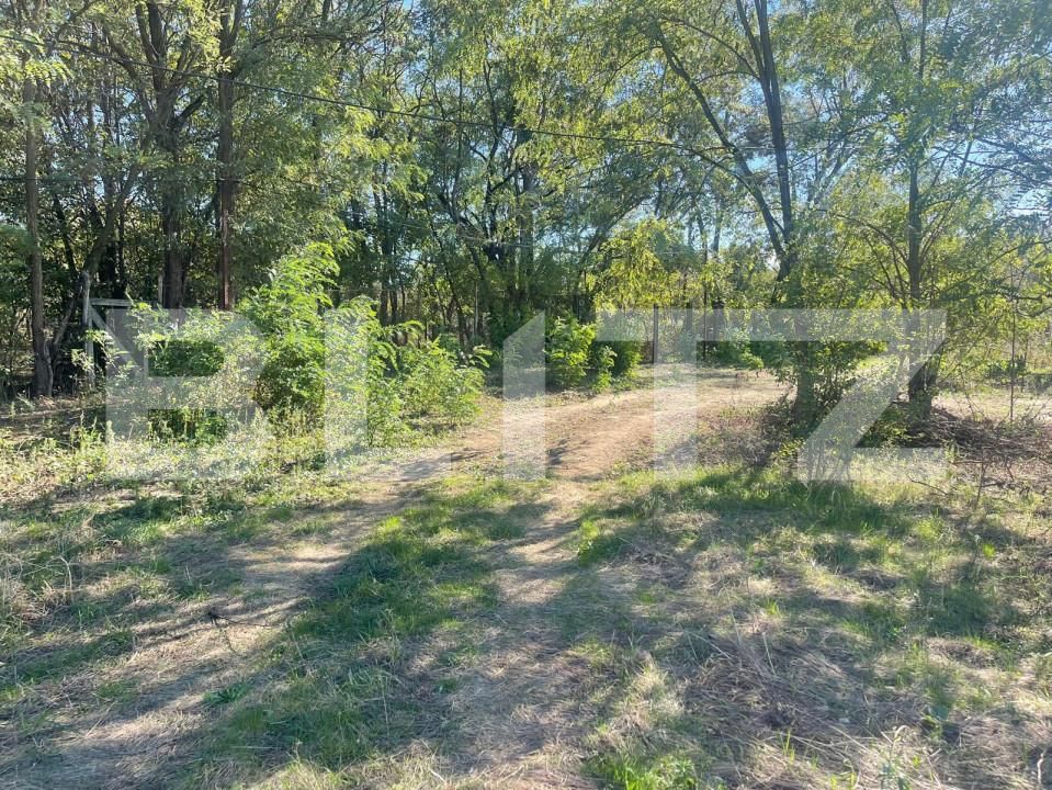 Teren de vânzare Exterior Nord - 159230TV | BLITZ Târgu Jiu | Poza4