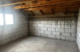 Casa P+M, 150 mp si 2600 mp teren, zona Danesti