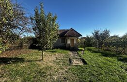 Casa plan parter si 800 mp teren, zona Balesti