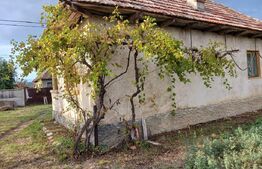 Casa plan parter si 800 mp teren, zona Balesti