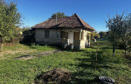 Casa plan parter si 800 mp teren, zona Balesti