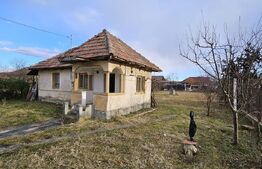 Casa plan parter si 800 mp teren, zona Balesti