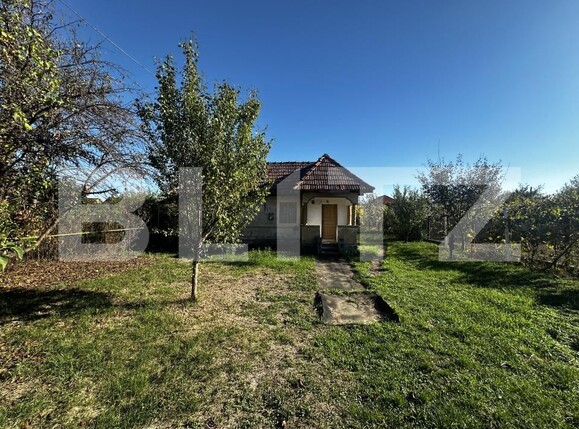 Casa de vânzare 2 camere Exterior Vest - 159613CV | BLITZ Târgu Jiu | Poza2