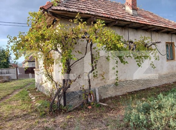 Casa de vânzare 2 camere Exterior Vest - 159613CV | BLITZ Târgu Jiu | Poza3