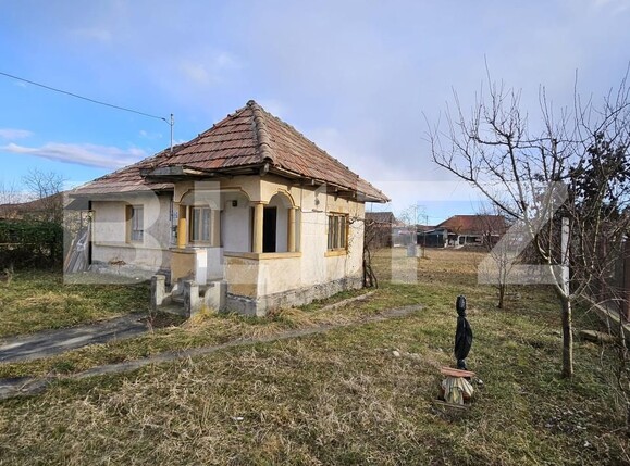 Casa de vânzare 2 camere Exterior Vest - 159613CV | BLITZ Târgu Jiu | Poza4