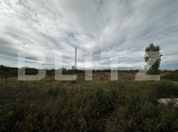 Teren de vânzare Exterior Sud - 159725TV | BLITZ Târgu Jiu | Poza2