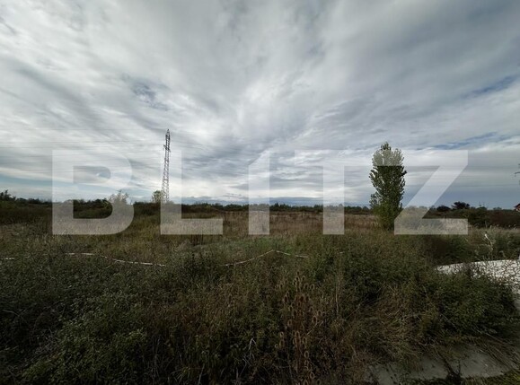 Teren de vânzare Exterior Sud - 159725TV | BLITZ Târgu Jiu | Poza3