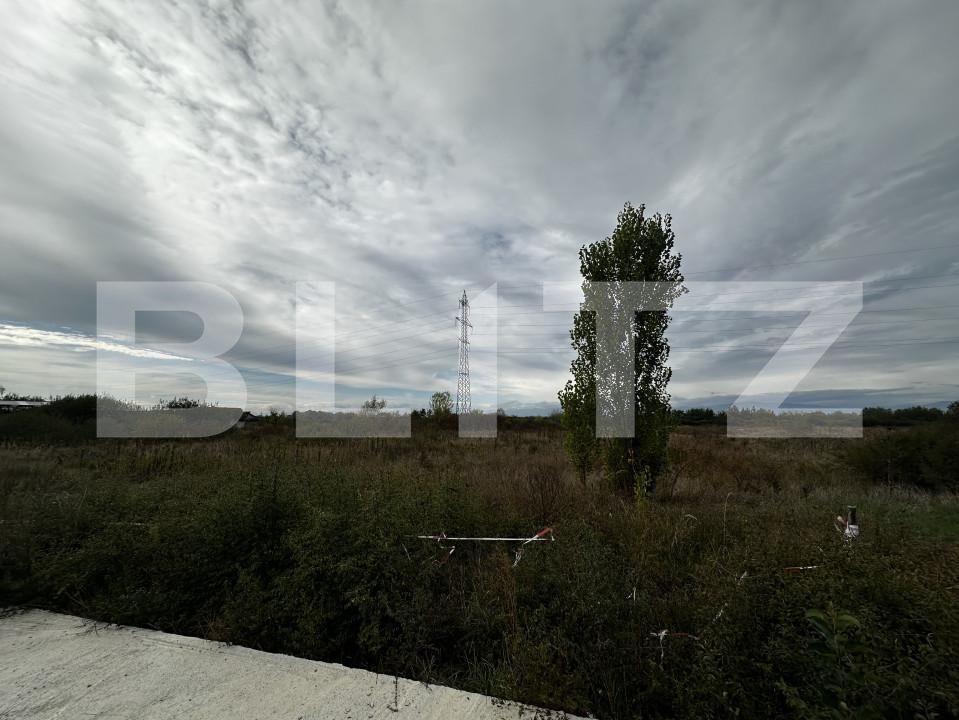 Teren de vânzare Exterior Sud - 159725TV | BLITZ Târgu Jiu | Poza1