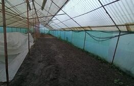 Teren intravilan,  1500 mp, zona Balteni