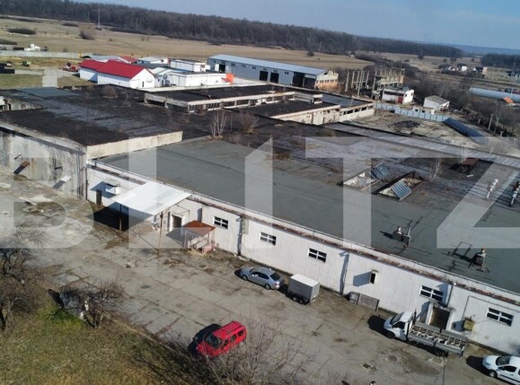 Spațiu industrial de vânzare Sud - 160239SVI | BLITZ Târgu Jiu | Poza3