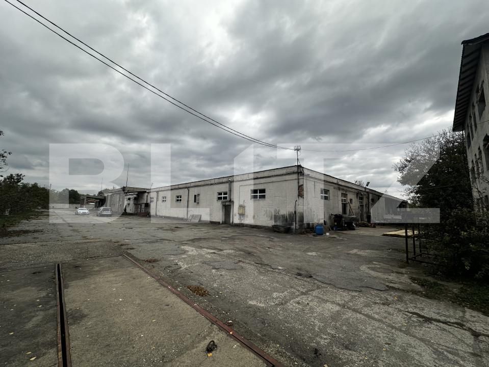 Spațiu industrial de vânzare Sud - 160239SVI | BLITZ Târgu Jiu | Poza4