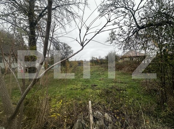 Teren de vânzare Vest - 160946TV | BLITZ Târgu Jiu | Poza2