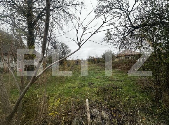 Teren de vânzare Vest - 160946TV | BLITZ Târgu Jiu | Poza3