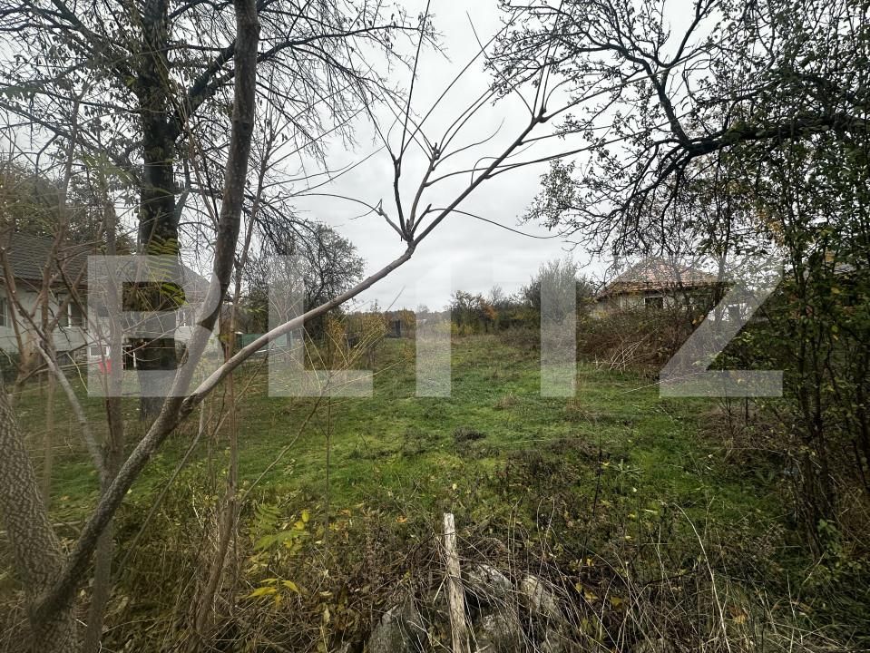 Teren de vânzare Vest - 160946TV | BLITZ Târgu Jiu | Poza3
