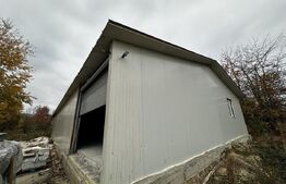 Hala 400 mp si 10000 mp teren