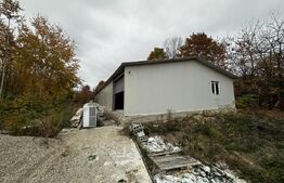 Hala 400 mp si 10000 mp teren