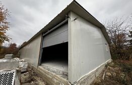 Hala 400 mp si 10000 mp teren