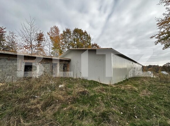 Spațiu industrial de vânzare Exterior Est - 161178SVI | BLITZ Târgu Jiu | Poza3