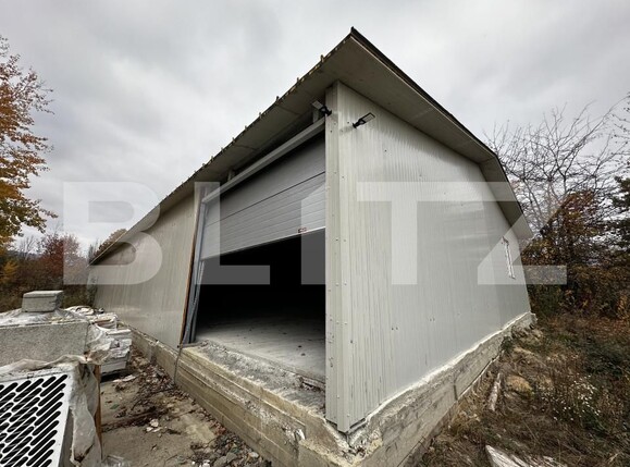 Spațiu industrial de vânzare Exterior Est - 161178SVI | BLITZ Târgu Jiu | Poza4