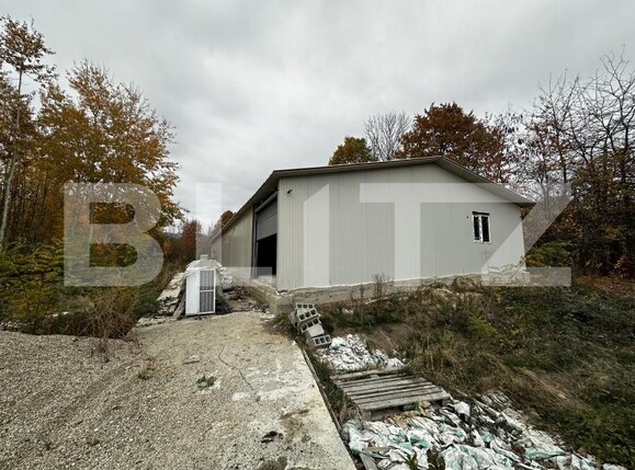 Spațiu industrial de vânzare Exterior Est - 161178SVI | BLITZ Târgu Jiu | Poza1
