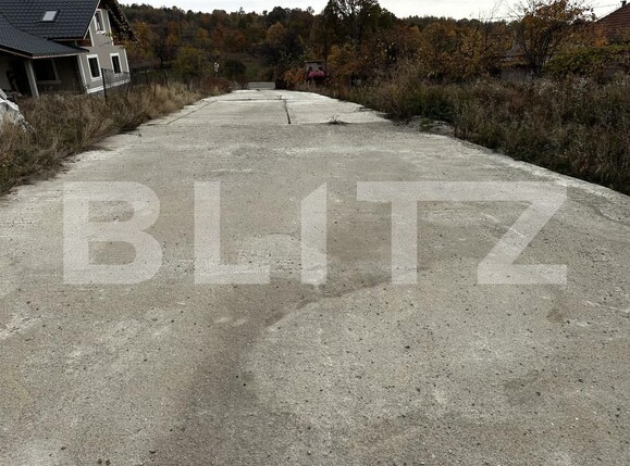 Spațiu industrial de vânzare Exterior Est - 161178SVI | BLITZ Târgu Jiu | Poza7