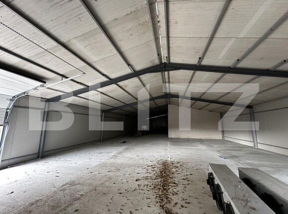 Spațiu industrial de vânzare Exterior Est - 161178SVI | BLITZ Târgu Jiu | Poza6