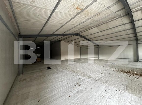 Spațiu industrial de vânzare Exterior Est - 161178SVI | BLITZ Târgu Jiu | Poza5