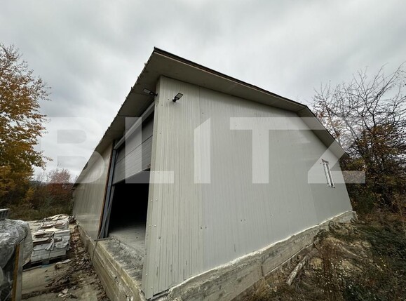 Spațiu industrial de vânzare Exterior Est - 161178SVI | BLITZ Târgu Jiu | Poza2
