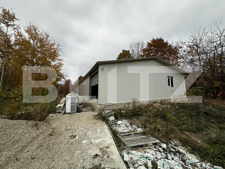Spațiu industrial de vânzare Exterior Est - 161178SVI | BLITZ Târgu Jiu | Poza1