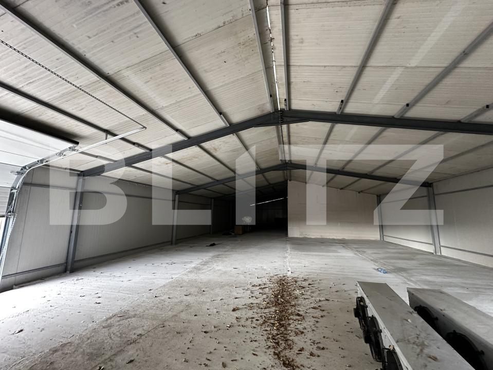 Spațiu industrial de vânzare Exterior Est - 161178SVI | BLITZ Târgu Jiu | Poza6