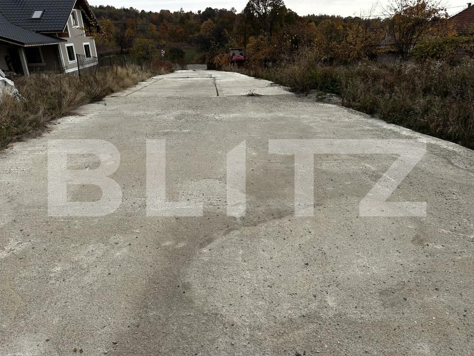 Spațiu industrial de vânzare Exterior Est - 161178SVI | BLITZ Târgu Jiu | Poza7