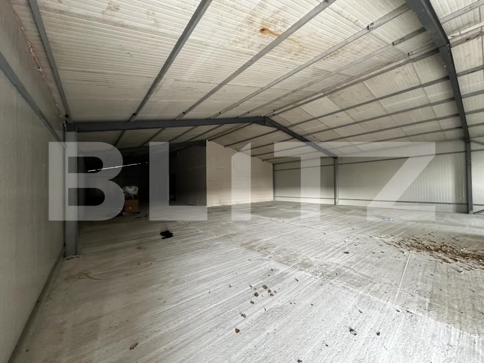 Spațiu industrial de vânzare Exterior Est - 161178SVI | BLITZ Târgu Jiu | Poza5