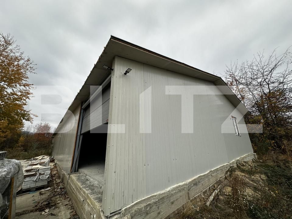 Spațiu industrial de vânzare Exterior Est - 161178SVI | BLITZ Târgu Jiu | Poza2