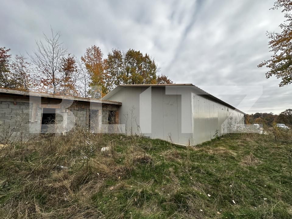 Spațiu industrial de vânzare Exterior Est - 161178SVI | BLITZ Târgu Jiu | Poza3