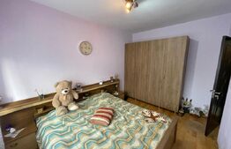 Apartament 2 camere Ultracentral, vedere spre parcul Central Constantin Brancusi