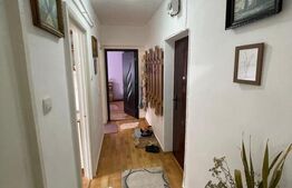 Apartament 2 camere Ultracentral, vedere spre parcul Central Constantin Brancusi