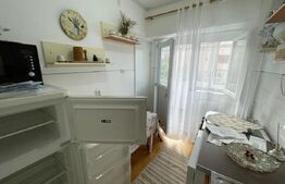 Apartament 2 camere Ultracentral, vedere spre parcul Central Constantin Brancusi