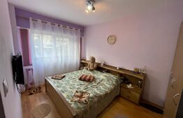 Apartament 2 camere Ultracentral, vedere spre parcul Central Constantin Brancusi