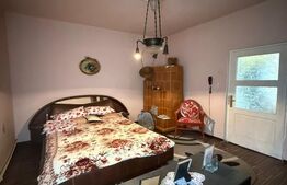 Casa plan parter, deschidere 28 m, zona centrala