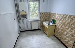 Apartament 2 camere, zona centrala, Unirii