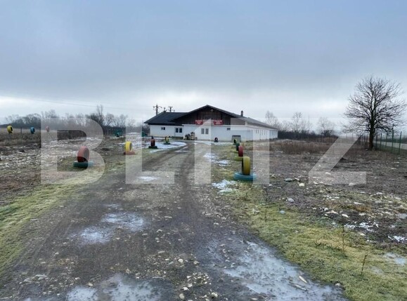 Casa de închiriat 10 camere Vacarea - 162676CI | BLITZ Târgu Jiu | Poza1